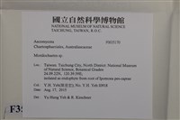 登錄號:F0035170藏品圖，第2張