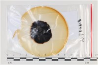 登錄號:F0035170藏品圖，第1張
