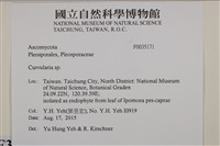 登錄號:F0035171藏品圖，第2張