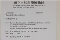 登錄號:F0035172藏品圖，第2張