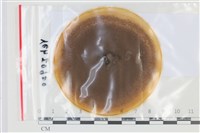 登錄號:F0035172藏品圖，第1張