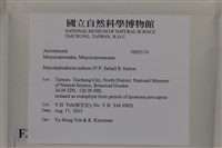 登錄號:F0035174藏品圖，第2張
