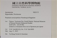 登錄號:F0035175藏品圖，第2張
