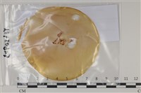 登錄號:F0035175藏品圖，第1張
