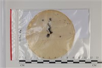 登錄號:F0035176藏品圖，第1張