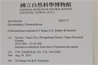 登錄號:F0035177藏品圖，第2張