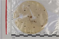 登錄號:F0035177藏品圖，第1張