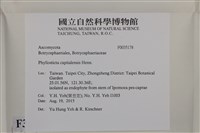 登錄號:F0035178藏品圖，第2張