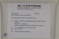 登錄號:F0035179藏品圖，第2張