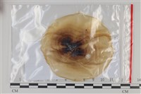 登錄號:F0035179藏品圖，第1張