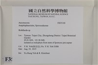 登錄號:F0035180藏品圖，第2張