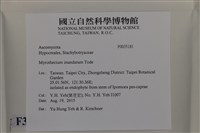 登錄號:F0035181藏品圖，第2張