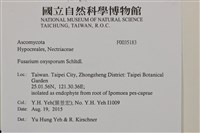 登錄號:F0035183藏品圖，第2張