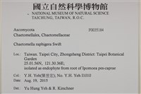 登錄號:F0035184藏品圖，第2張