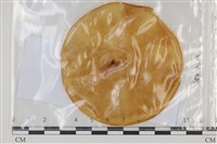 登錄號:F0035184藏品圖，第1張