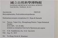 登錄號:F0035185藏品圖，第2張