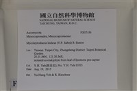 登錄號:F0035186藏品圖，第2張