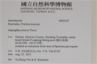 登錄號:F0035187藏品圖，第2張