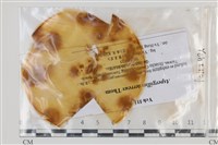 登錄號:F0035187藏品圖，第1張