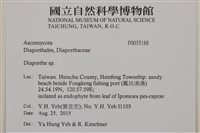 登錄號:F0035188藏品圖，第2張