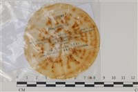 登錄號:F0035188藏品圖，第1張