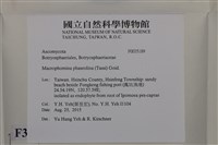 登錄號:F0035189藏品圖，第2張