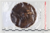 登錄號:F0035189藏品圖，第1張