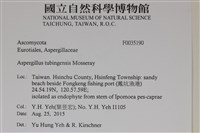 登錄號:F0035190藏品圖，第2張