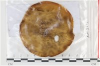 登錄號:F0035190藏品圖，第1張