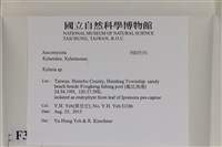 炭角菌屬藏品圖，第2張