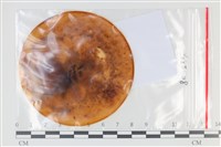 登錄號:F0035192藏品圖，第1張