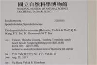 登錄號:F0035193藏品圖，第2張