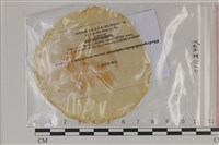 登錄號:F0035193藏品圖，第1張