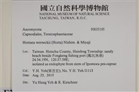 登錄號:F0035195藏品圖，第2張