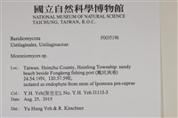 登錄號:F0035196藏品圖，第2張