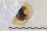 登錄號:F0035196藏品圖，第1張