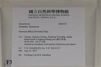 登錄號:F0035197藏品圖，第2張
