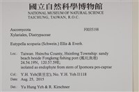 登錄號:F0035198藏品圖，第2張