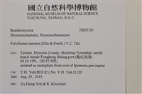 登錄號:F0035199藏品圖，第2張