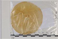登錄號:F0035199藏品圖，第1張