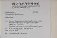 登錄號:F0035200藏品圖，第2張