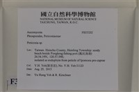 登錄號:F0035202藏品圖，第2張
