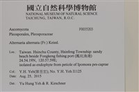 登錄號:F0035203藏品圖，第2張