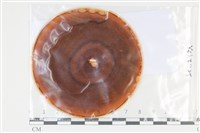 登錄號:F0035203藏品圖，第1張