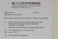登錄號:F0035204藏品圖，第2張