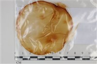 登錄號:F0035204藏品圖，第1張