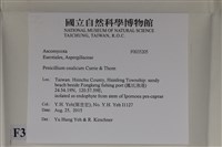 登錄號:F0035205藏品圖，第2張