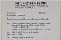 登錄號:F0035206藏品圖，第2張