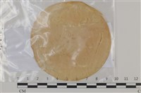 登錄號:F0035206藏品圖，第1張
