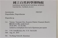 登錄號:F0035207藏品圖，第2張